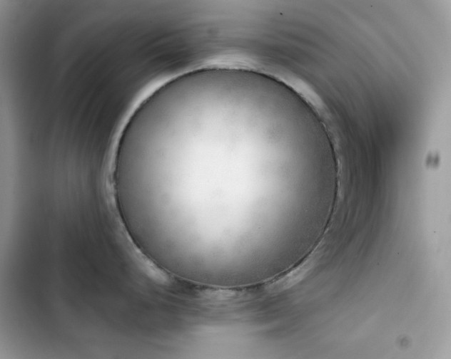 X0000103961248200809191504