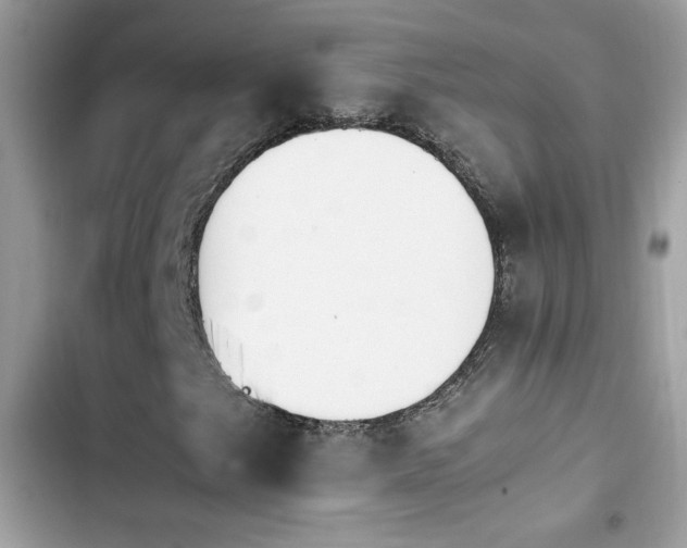 X0000103961249200809191503