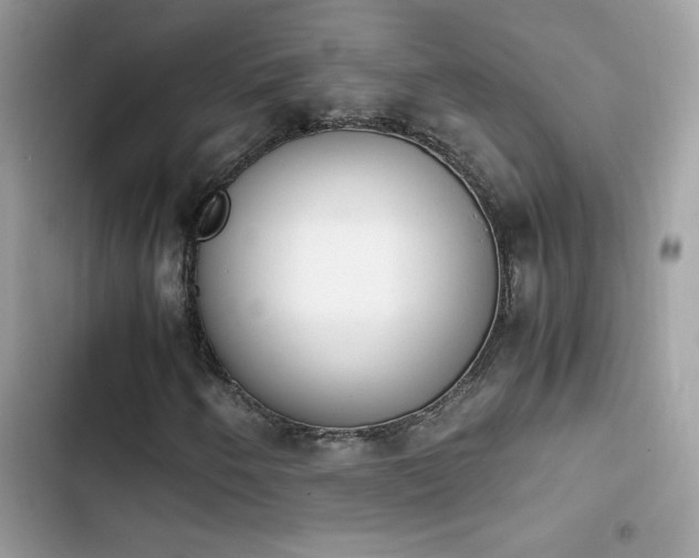 X0000103961250200809191503