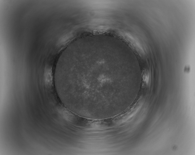 X0000103961252200809191503