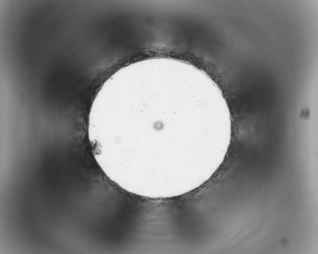 X0000103961253200809191503