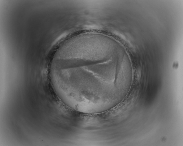 X0000103961254200809191503
