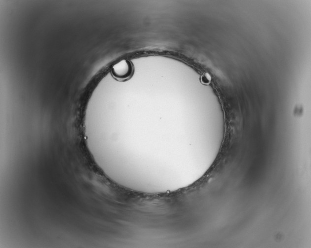 X0000103961256200809191503
