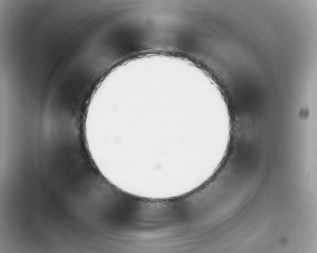X0000103961257200809191503
