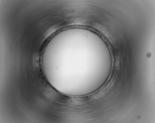 X0000103961258200809191503