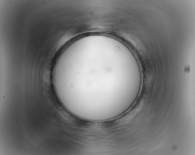 X0000103961259200809191503