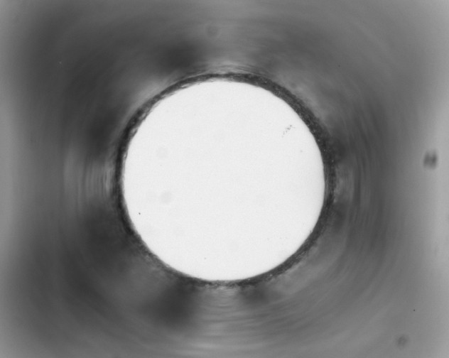 X0000103961261200809191503