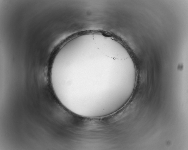 X0000103961262200809191503