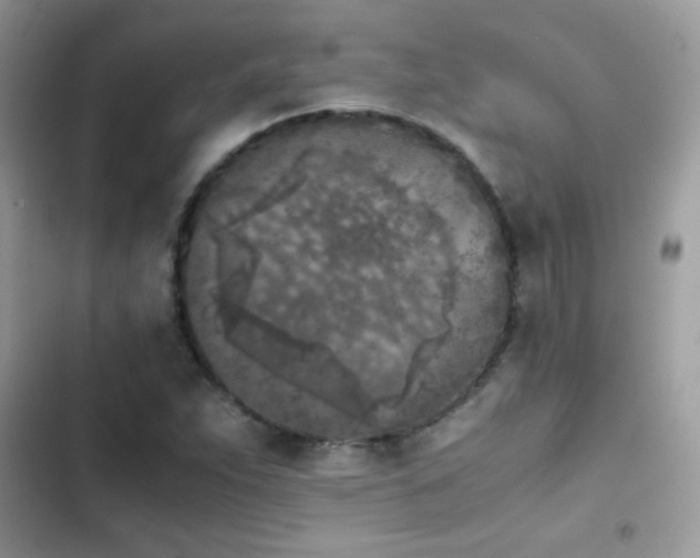 X0000103961263200809191503