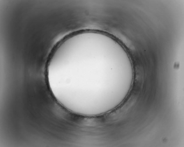 X0000103961264200809191503