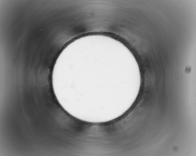 X0000103961265200809191503