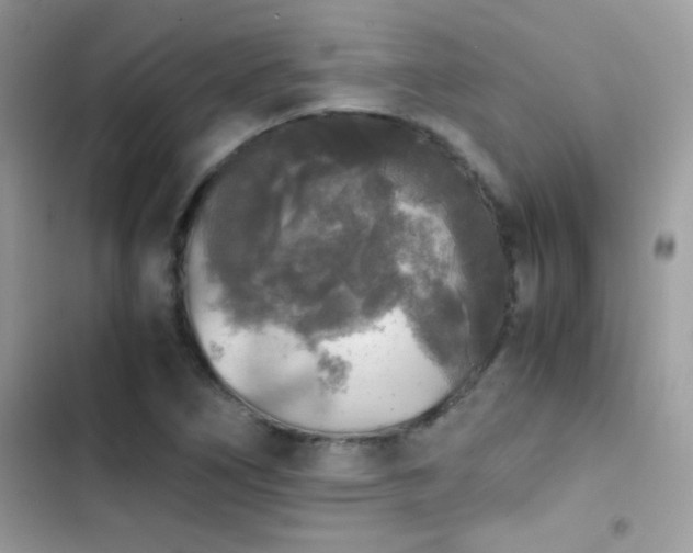 X0000103961266200809191503