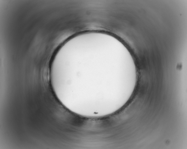 X0000103961269200809191502