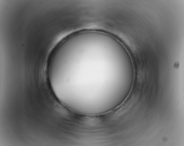 X0000103961270200809191502