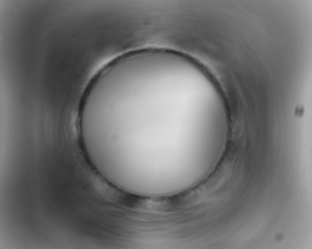 X0000103961271200809191502