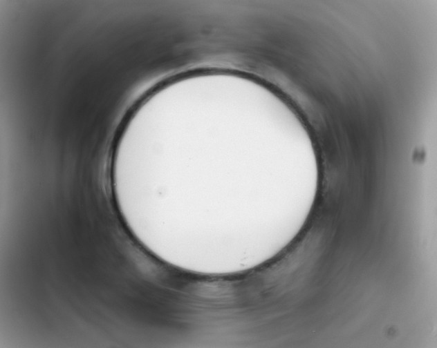 X0000103961272200809191502