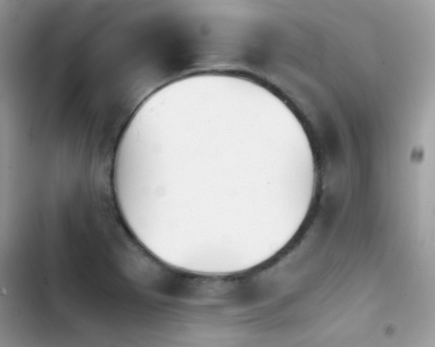 X0000103961273200809191502