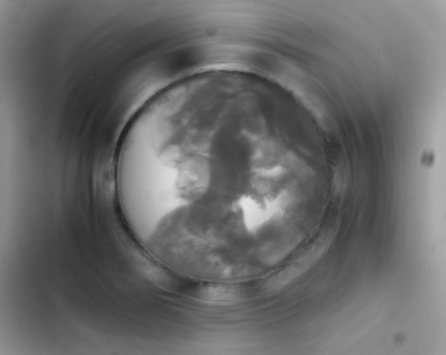 X0000103961274200809191502