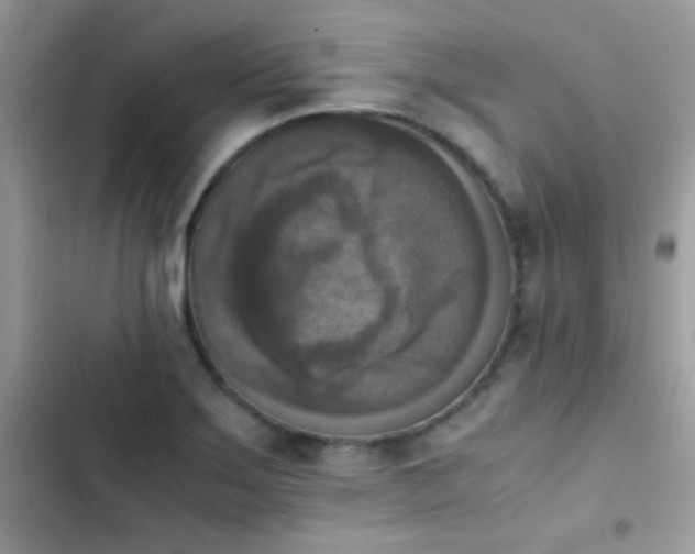 X0000103961275200809191502