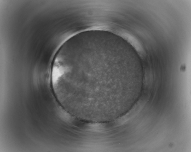 X0000103961276200809191502