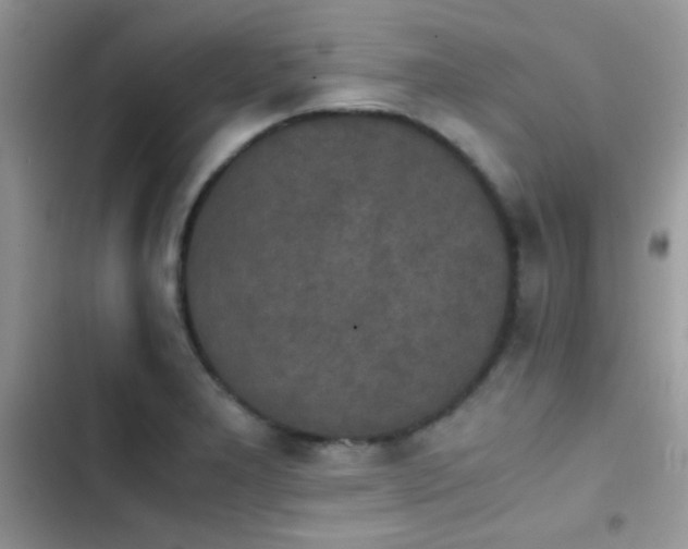 X0000103961277200809191502