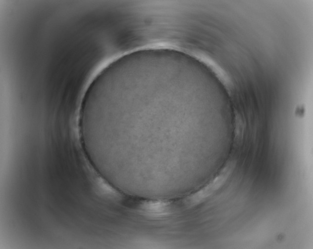 X0000103961278200809191502