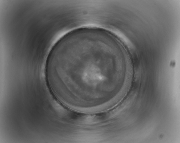 X0000103961279200809191502