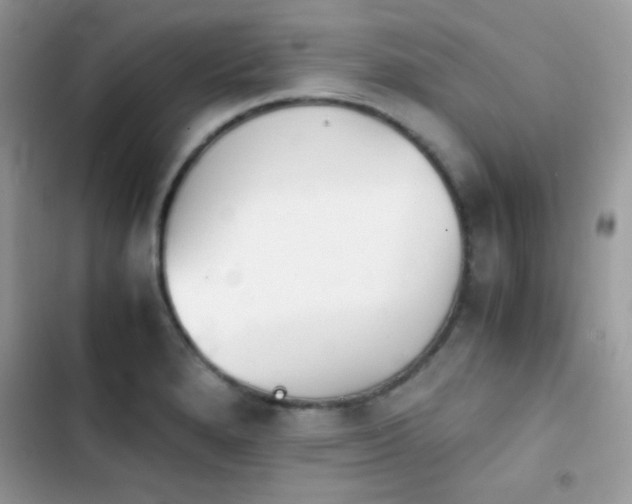X0000103961280200809191502