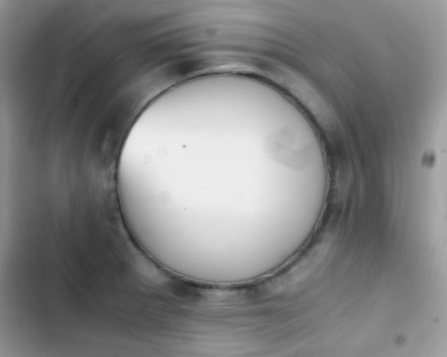 X0000103961281200809191502