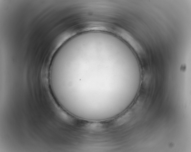 X0000103961282200809191502