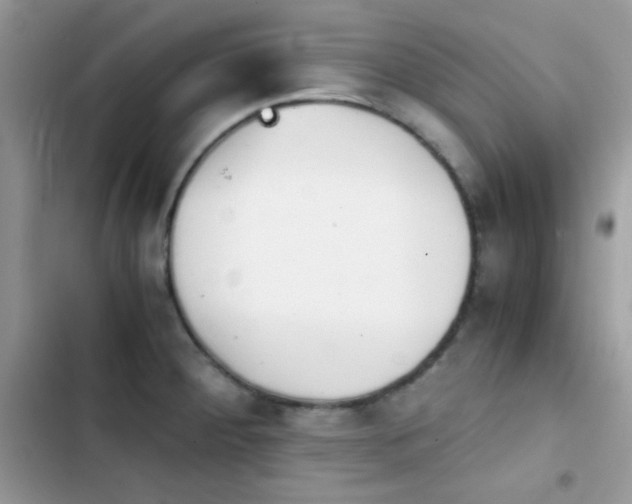 X0000103961284200809191502