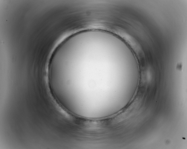 X0000103961286200809191502