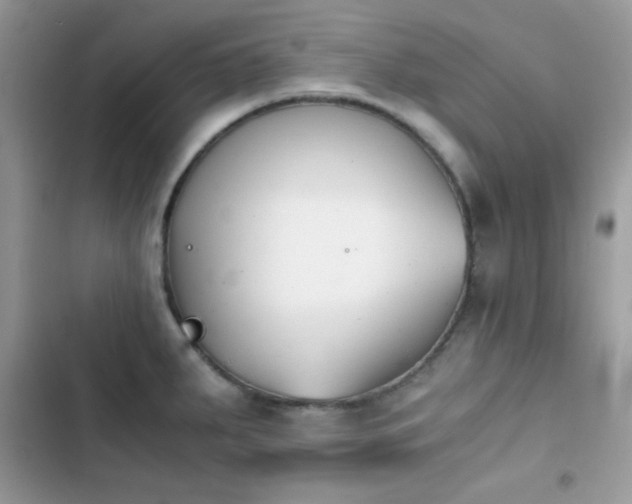 X0000103961287200809191502