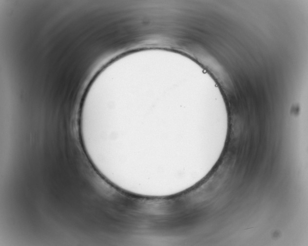 X0000103961288200809191502