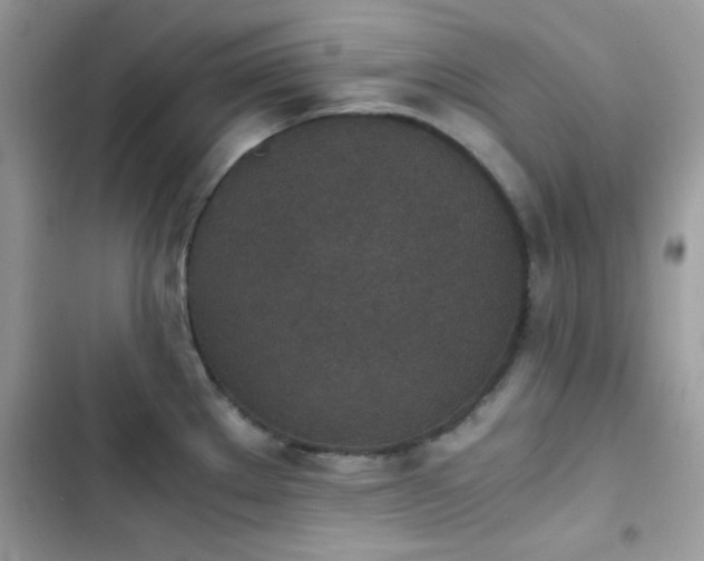 X0000103961289200809191502