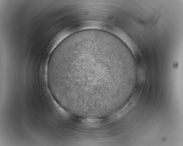 X0000103961290200809191502