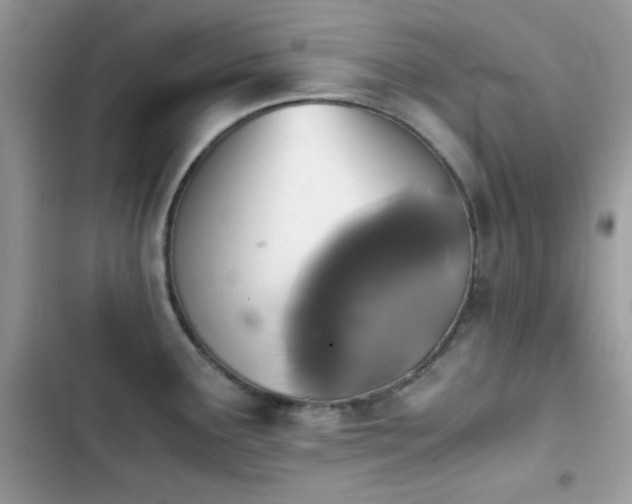 X0000103961291200809191502