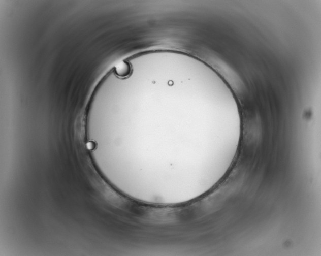 X0000103961292200809191502