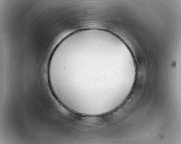 X0000103961293200809191502