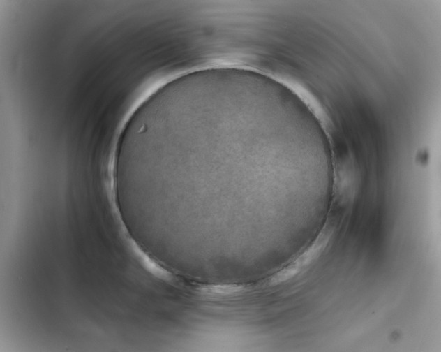 X0000103961294200809191502