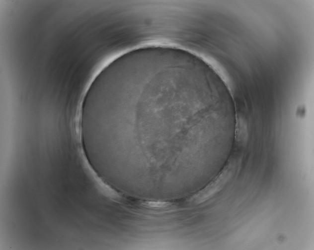 X0000103961295200809191502