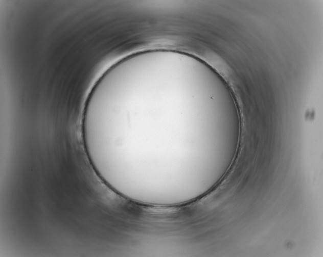 X0000103961296200809191502