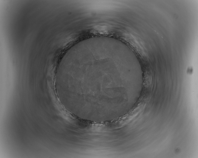 X0000103961297200809191501