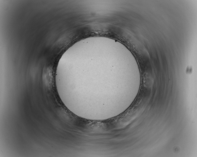 X0000103961298200809191501