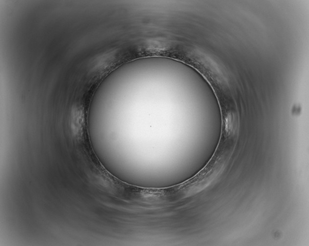 X0000103961299200809191501