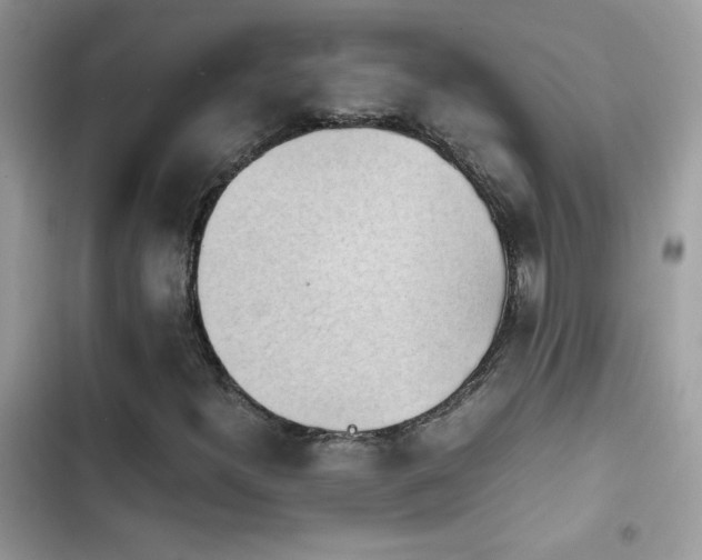 X0000103961300200809191501