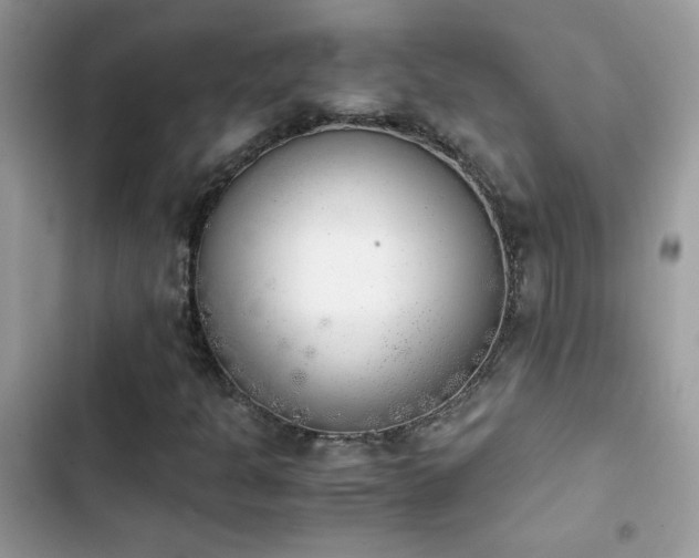 X0000103961301200809191501