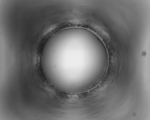X0000103961302200809191502