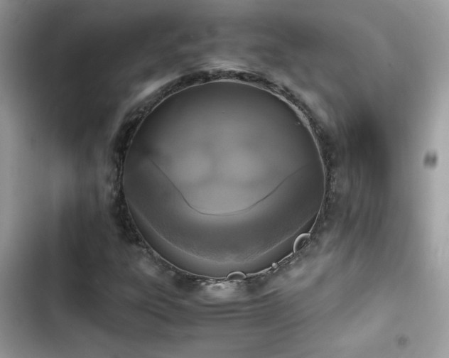 X0000103961303200809191502