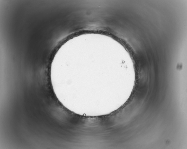 X0000103961304200809191502